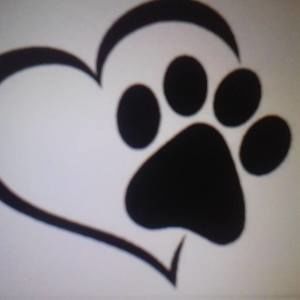 Meet your Posher, Gwen